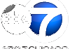ABC 7 CHICAGO IL (WLS)