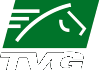 TVG NETWORK